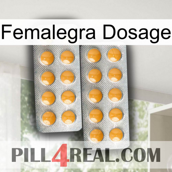 Femalegra Dosage levitra2.jpg